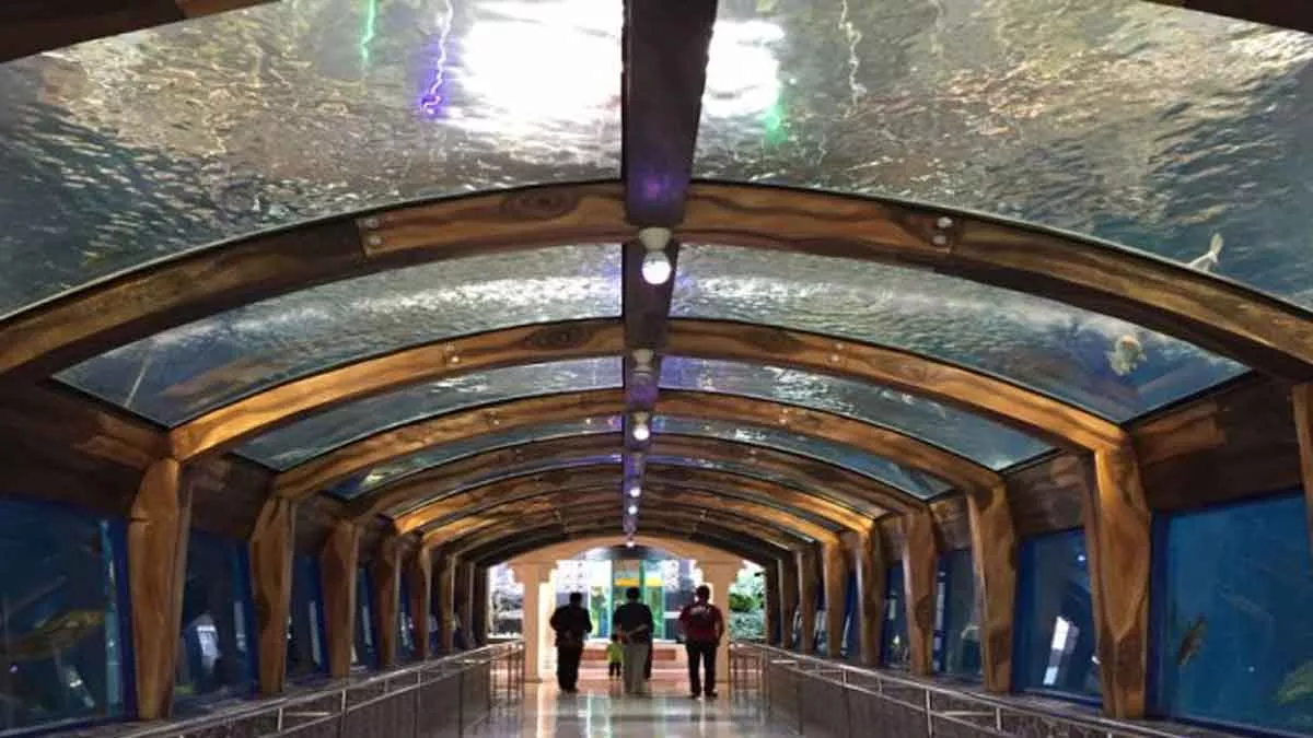 Wisata Edukasi Unik, Inilah 4 Wisata Aquarium Terbaik Di Indonesia - Portalmadura.com Wisata-Edukasi-Unik,-Inilah-4-Wisata-Aquarium-terbaik-di-Indonesia