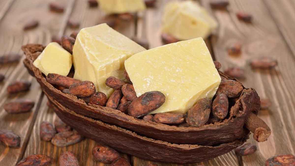 5 Khasiat Cocoa Butter untuk Perawatan Kulit