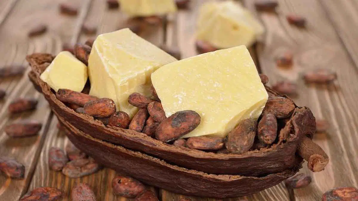5 Khasiat Cocoa Butter untuk Perawatan Kulit