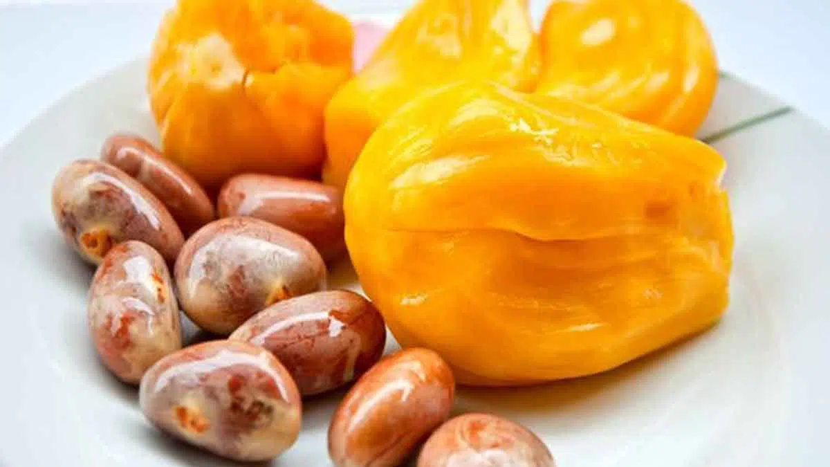 Jangan Dibuang, Ini 5 Manfaat Biji Nangka untuk Wajah Rambut