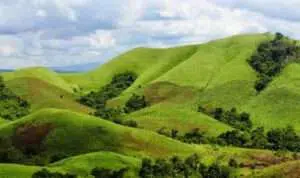 4-Tempat-Indah-di-Kawasan-Wisata-Gunung-Bromo-yang-Bikin-Betah-Wisatawan