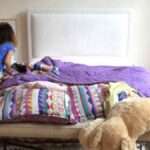 Cara Ajarkan Anak Membersihkan Kamar Tidurnya Sendiri