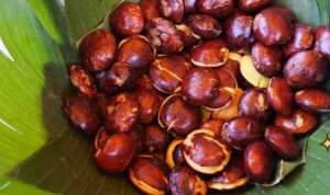 5 Manfaat Jengkol untuk Kesehatan yang Harus Anda Ketahui