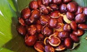 5 Manfaat Jengkol untuk Kesehatan yang Harus Anda Ketahui