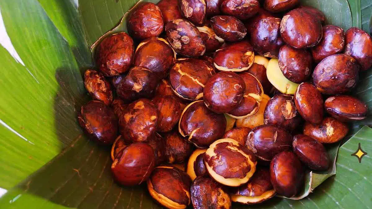5 Manfaat Jengkol untuk Kesehatan yang Harus Anda Ketahui