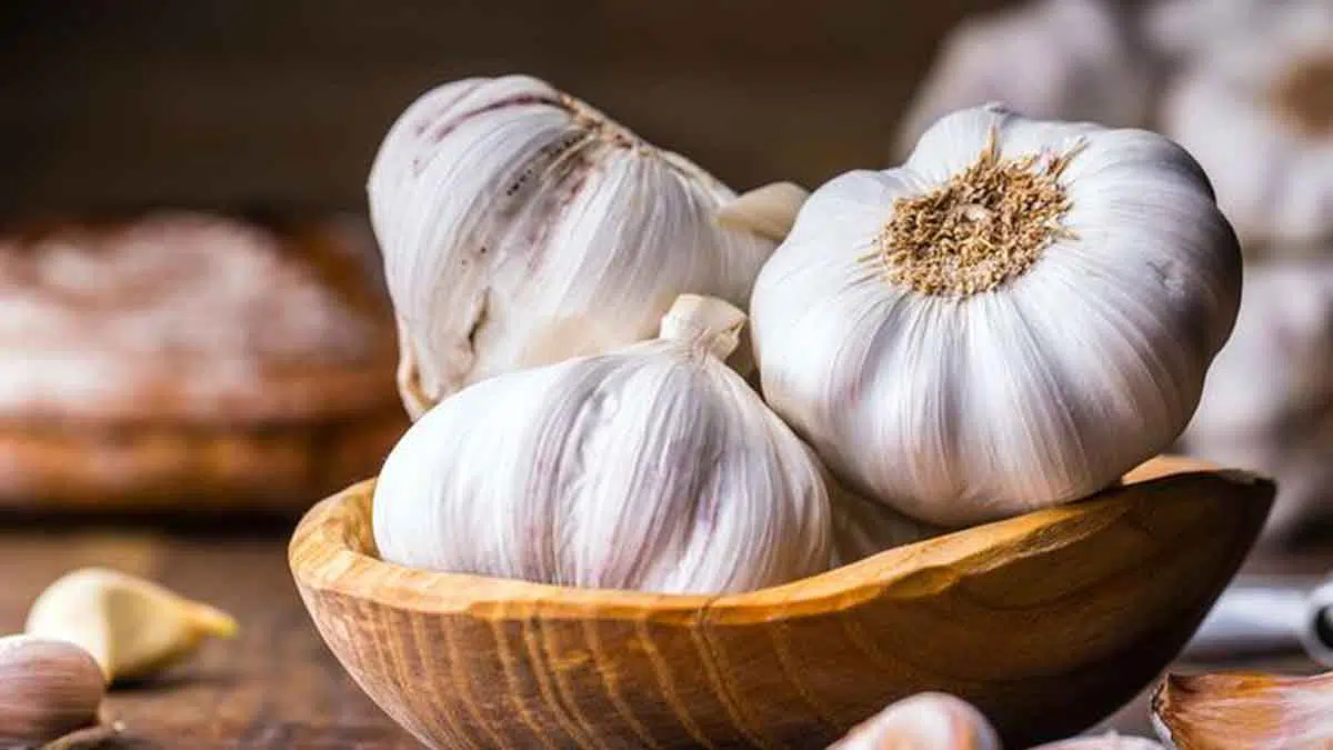 Ini 5 Manfaat Bawang Putih Yang Baik Untuk Kesehatan