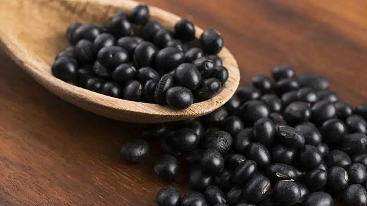 Ketahui 5 Manfaat Kedelai Hitam untuk Kesehatan