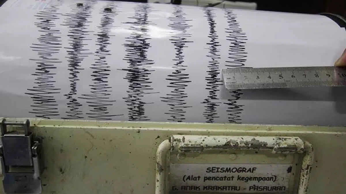 Gempa Bumi M5,2 Guncang Pulau Sumba, NTT