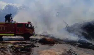 Gudang Serabut Kelapa PT Korma Jaya Ludes Terbakar