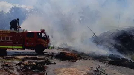 Gudang Serabut Kelapa PT Korma Jaya Ludes Terbakar