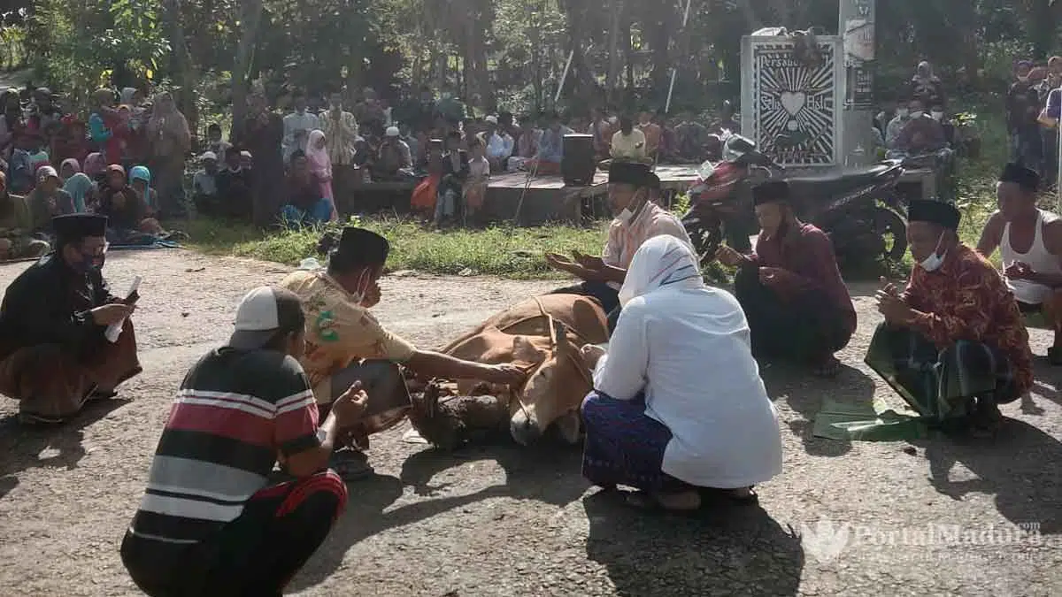 Tangkal Corona, Selawat Burdah hingga Urunan Sembelih Sapi di Sumenep