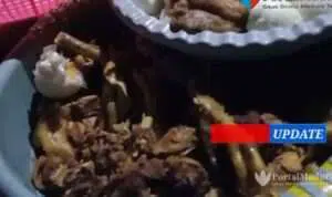 Warga Madura Usir Corona Pakai Ayam Jantan
