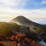 6 Fakta Menarik Gunung Gede Pangrango Jawa Barat