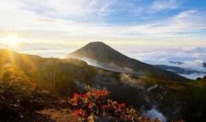 6-Fakta-Menarik-Gunung-Gede-Pangrango-Jawa-Barat