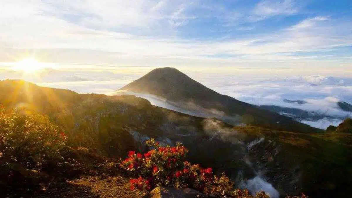 6-Fakta-Menarik-Gunung-Gede-Pangrango-Jawa-Barat