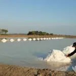 Bantuan Sarpras Produksi Garam Tak Pasti, Diskan Sampang Tunggu Pemprov Jatim
