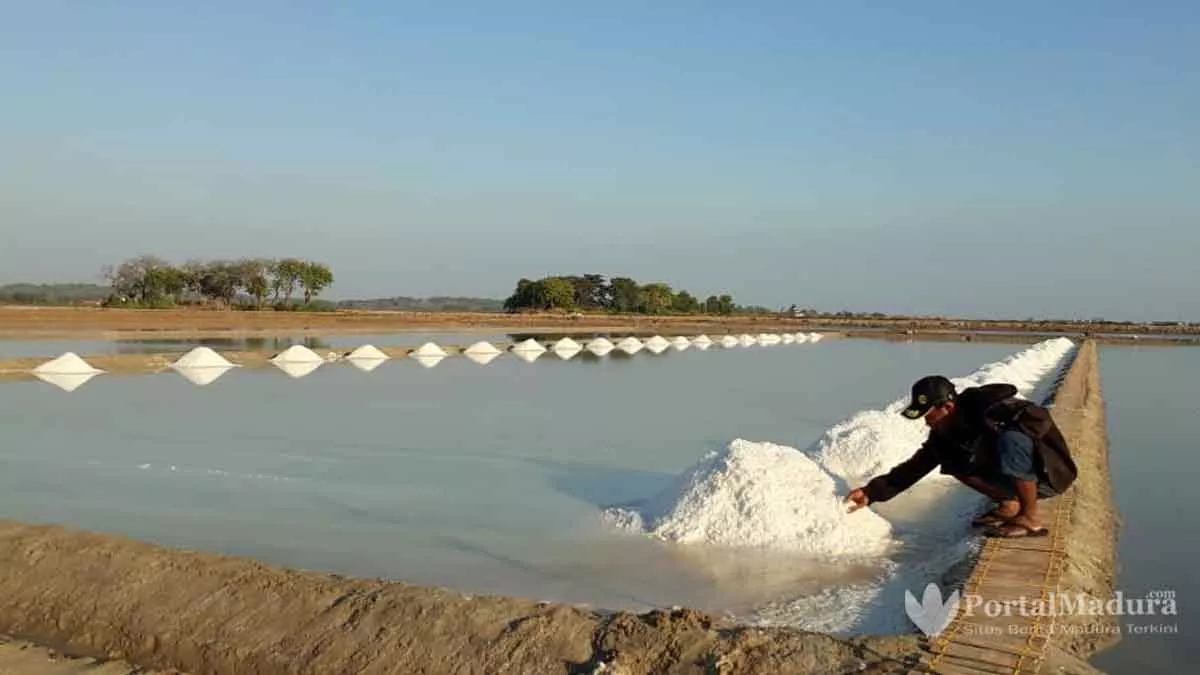Bantuan Sarpras Produksi Garam Tak Pasti, Diskan Sampang Tunggu Pemprov Jatim