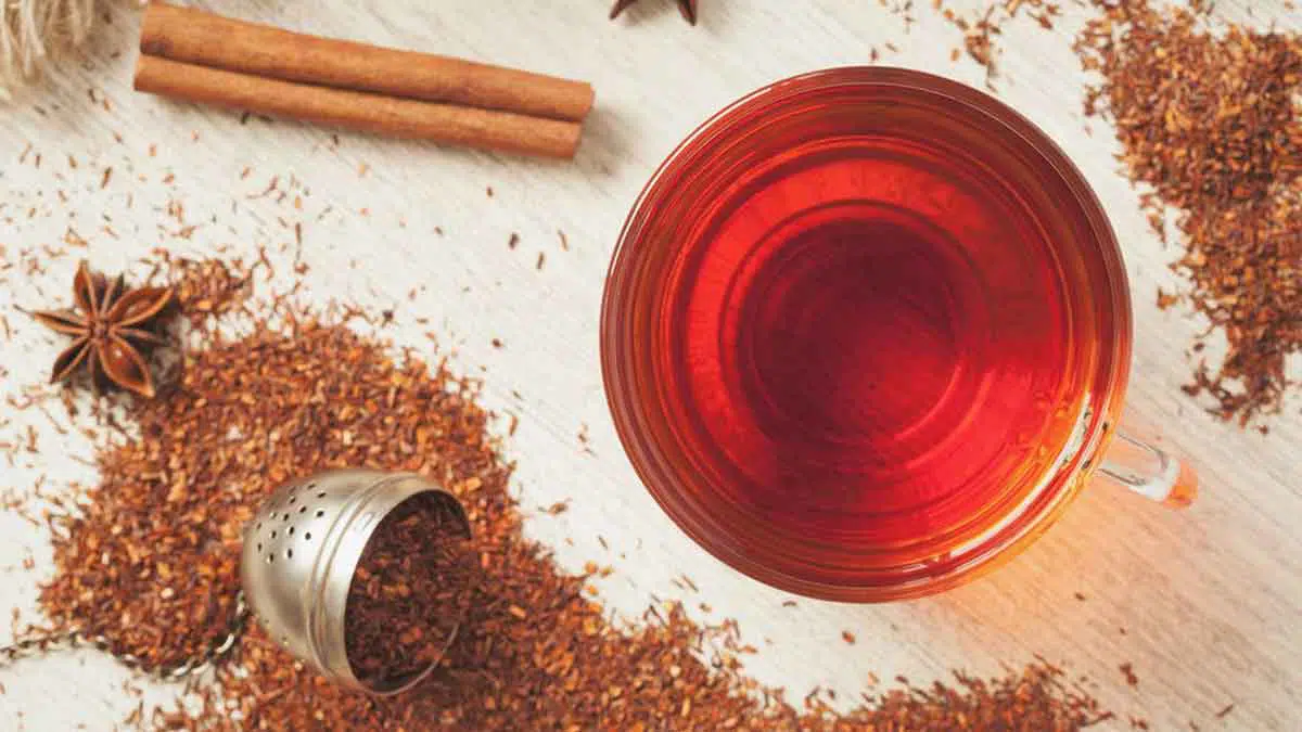 Selain Lezat, Teh Honeybush Simpan Banyak Manfaat yang Sayang untuk Dilewatkan