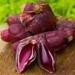 Tak Sekedar Bumbu Dapur, 6 Manfaat Bawang Dayak Yang Baik Untuk Kesehatan