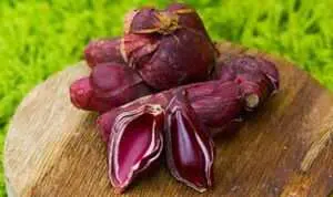 Tak Sekedar Bumbu Dapur, 6 Manfaat Bawang Dayak Yang Baik Untuk Kesehatan