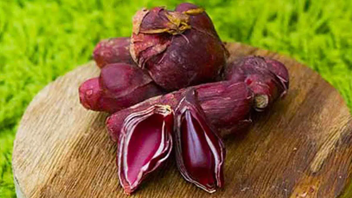 Tak Sekedar Bumbu Dapur, 6 Manfaat Bawang Dayak Yang Baik Untuk Kesehatan