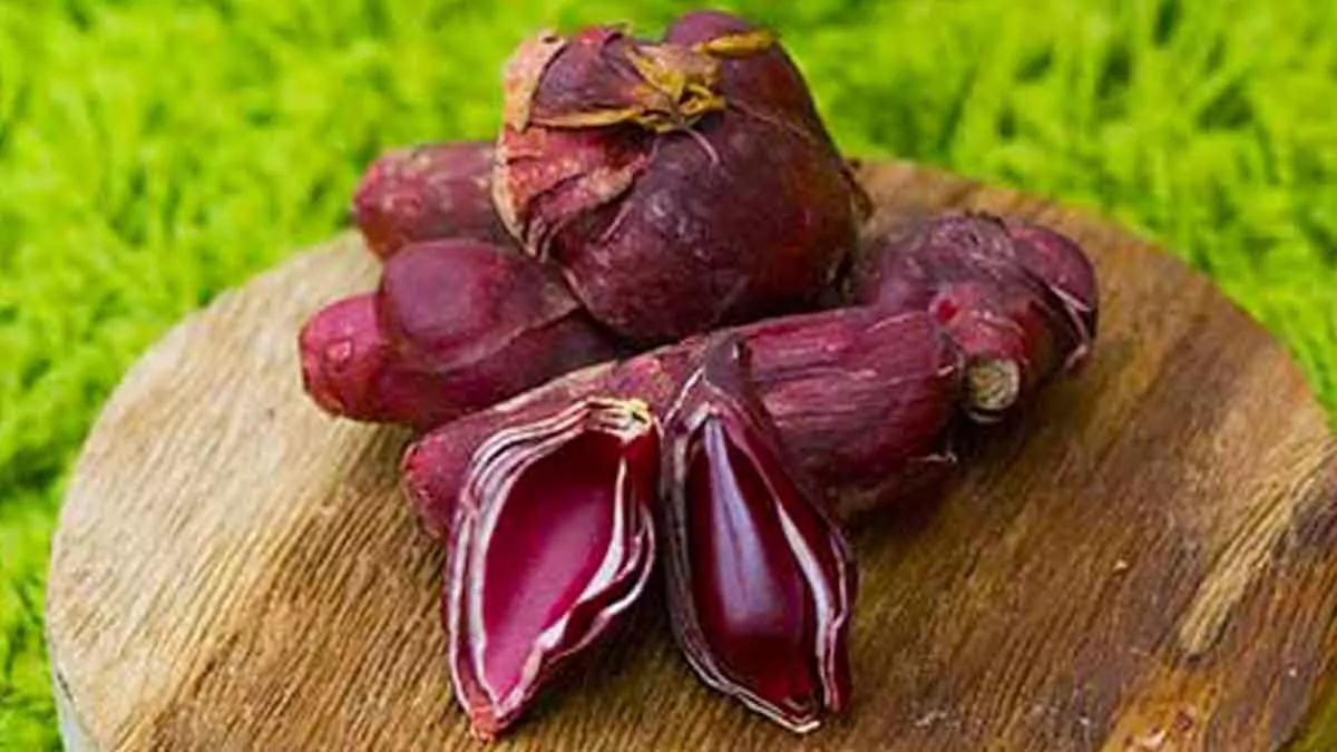 Tak Sekedar Bumbu Dapur, 6 Manfaat Bawang Dayak Yang Baik Untuk Kesehatan