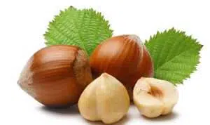 Hazelnut, Jenis Kacang yang Memiliki Banyak Manfaat bagi Tubuh Anda