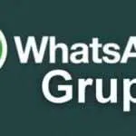 6 Cara Mudah Agar Tak Dimasukkan ke Grup WhatsApp Tanpa Izin