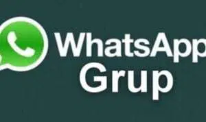 6 Cara Mudah Agar Tak Dimasukkan ke Grup WhatsApp Tanpa Izin