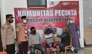 Giat Latihan, Pecinta Budaya Karapan Sapi Sampang Disuntik Vaksin Covid-19