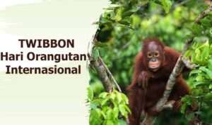Twibbon Hari Orangutan Internasional