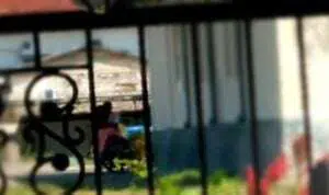 Beredar Video Sejoli Nekat Mesum Dekat Kantor Koni Sampang