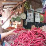 Harga Cabai Rawit Merah Anjlok di Sumenep