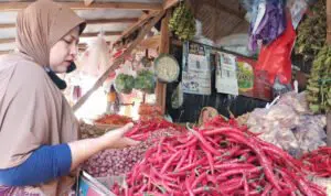 Harga Cabai Rawit Merah Anjlok di Sumenep