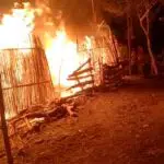 Kandang Sapi dan Ayam Ludes Terbakar