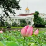 Lakukan 6 Tips Berlibur ke Kebun Raya Bogor