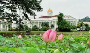 Lakukan-6-Tips-Berlibur-ke-Kebun-Raya-Bogor