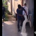 Viral Video Tiktok, Pria Marah Besar Gegara Beras Bantuan Kualitas Jelek Masuk Bangkalan