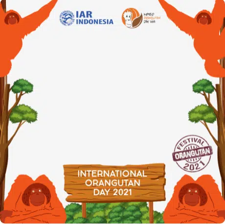 TWibbon Hari Orangutan Internasional Atau International Orangutan Day