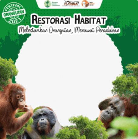 Twibbon Hari Orangutan Internasional Atau International Orangutan Day