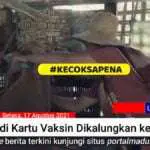 Viral Video Parodi Kartu Vaksin Dikalungkan ke Sapi & Seruan Aksi hingga #KECOKSAPENA