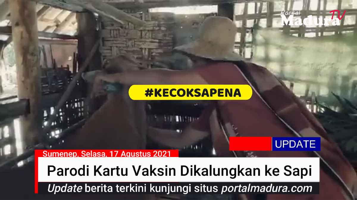 Viral Video Parodi Kartu Vaksin Dikalungkan ke Sapi & Seruan Aksi hingga #KECOKSAPENA