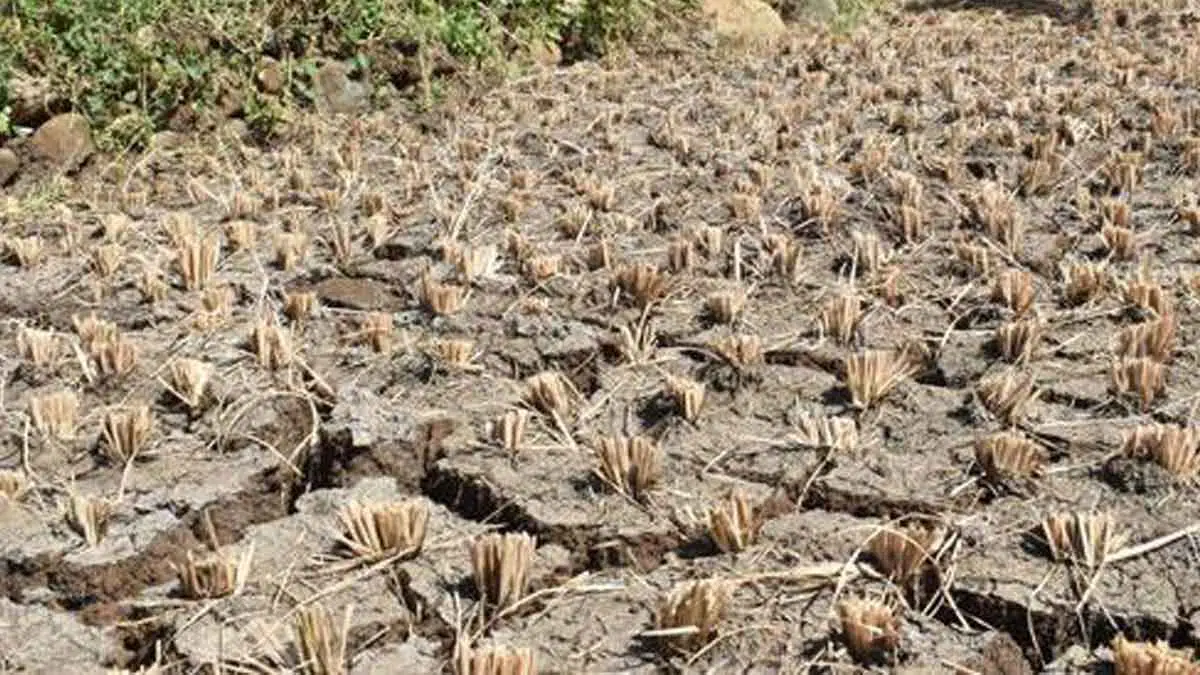75 Desa dan Kelurahan Alami Kekeringan