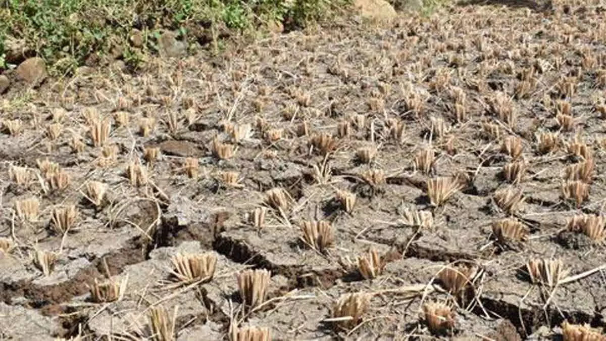 75 Desa dan Kelurahan Alami Kekeringan