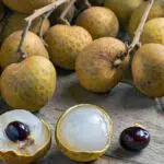Atasi Bau Badan dengan Biji Buah Kelengkeng