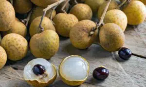 Atasi-Bau-Badan-dengan-Biji-Buah-Kelengkeng