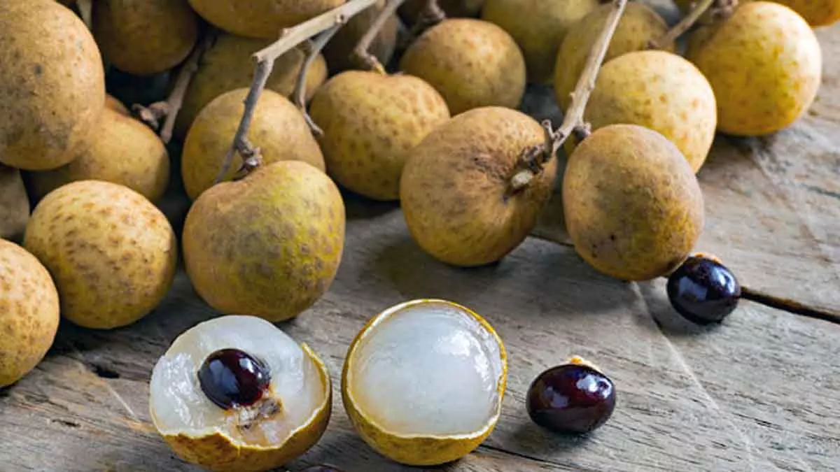 Atasi Bau Badan dengan Biji Buah Kelengkeng