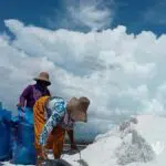 Serapan Garam Petani Rendah di Sumenep