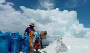 Serapan Garam Petani Rendah di Sumenep