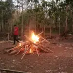 Polisi Sampang Bakar Arena Judi Sabung Ayam